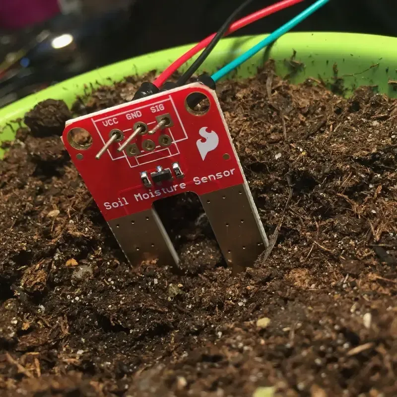 A close-up of a soil moisture sensor.
