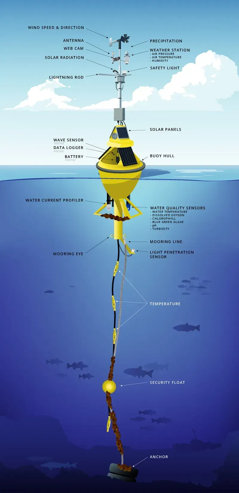 Marine sensors monitoring ocean parameters
