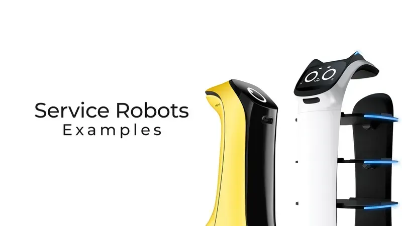 A successful service robot project