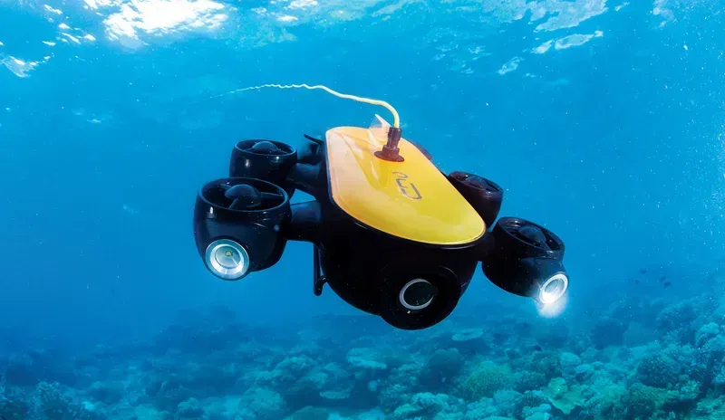 A miniature underwater robot