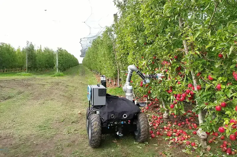 A successful orchard robot picking case