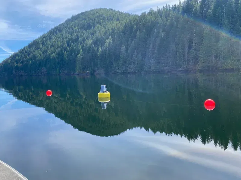 Forest fire monitoring buoy deployed in a forest